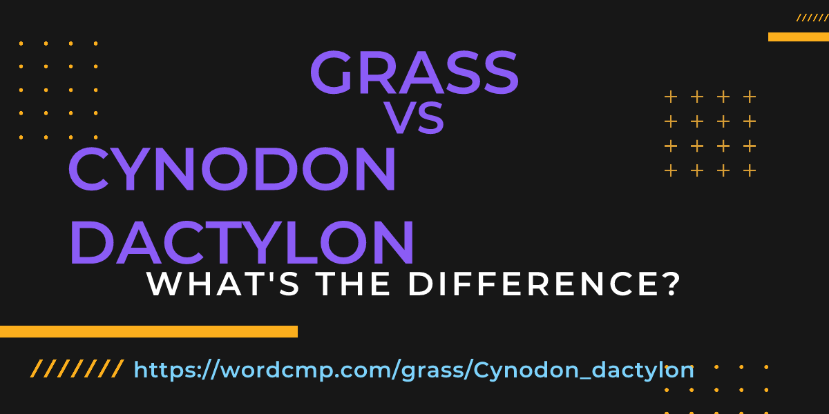 Difference between grass and Cynodon dactylon