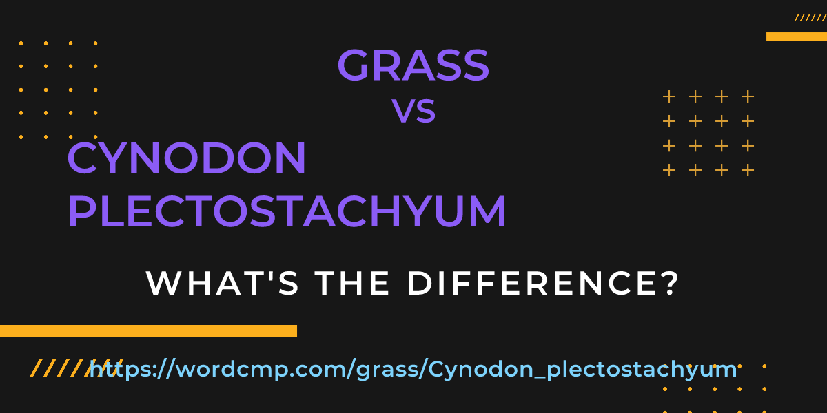 Difference between grass and Cynodon plectostachyum