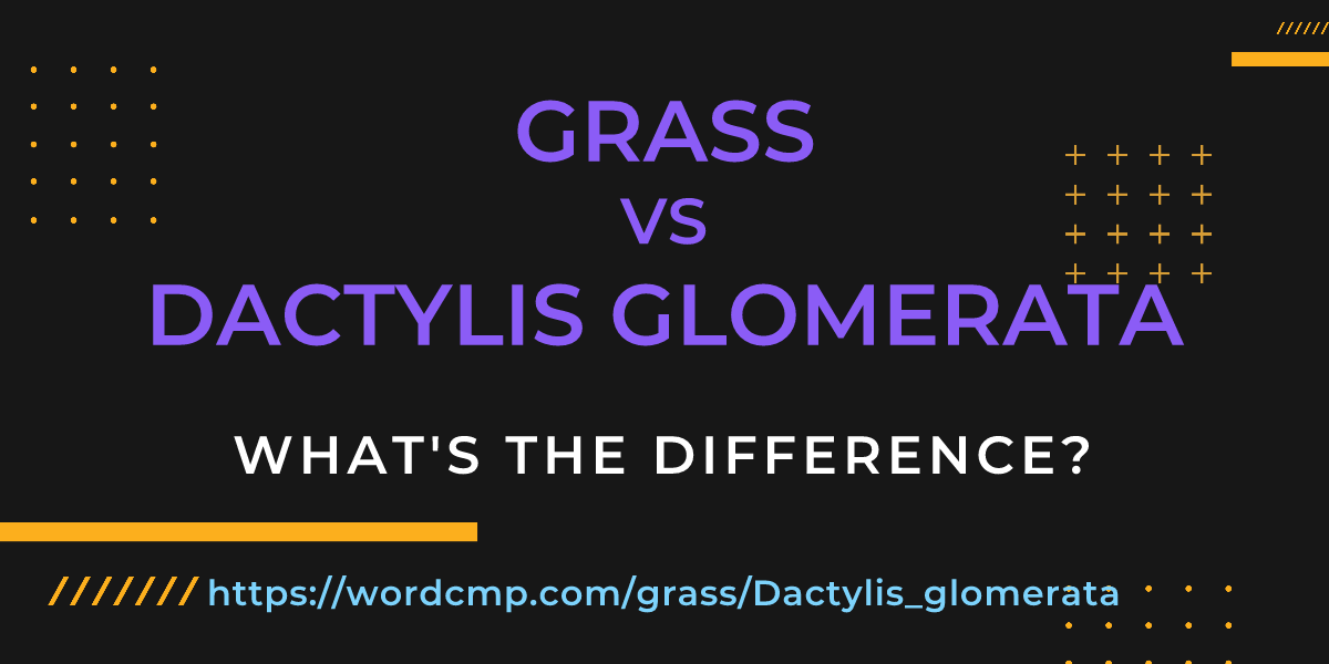 Difference between grass and Dactylis glomerata