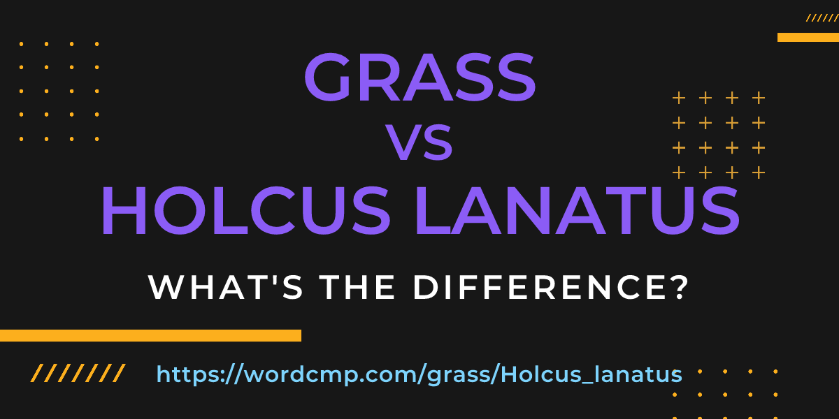 Difference between grass and Holcus lanatus