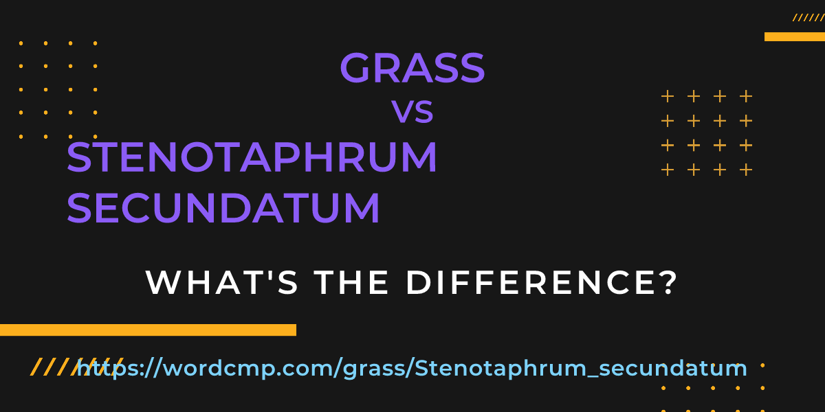 Difference between grass and Stenotaphrum secundatum