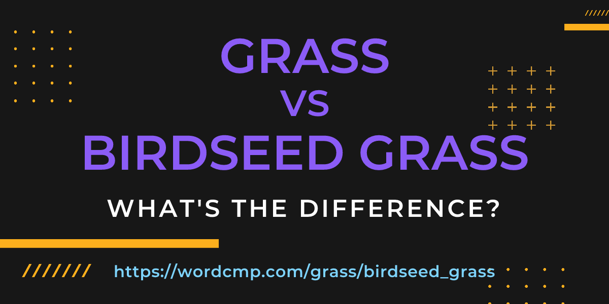 Difference between grass and birdseed grass