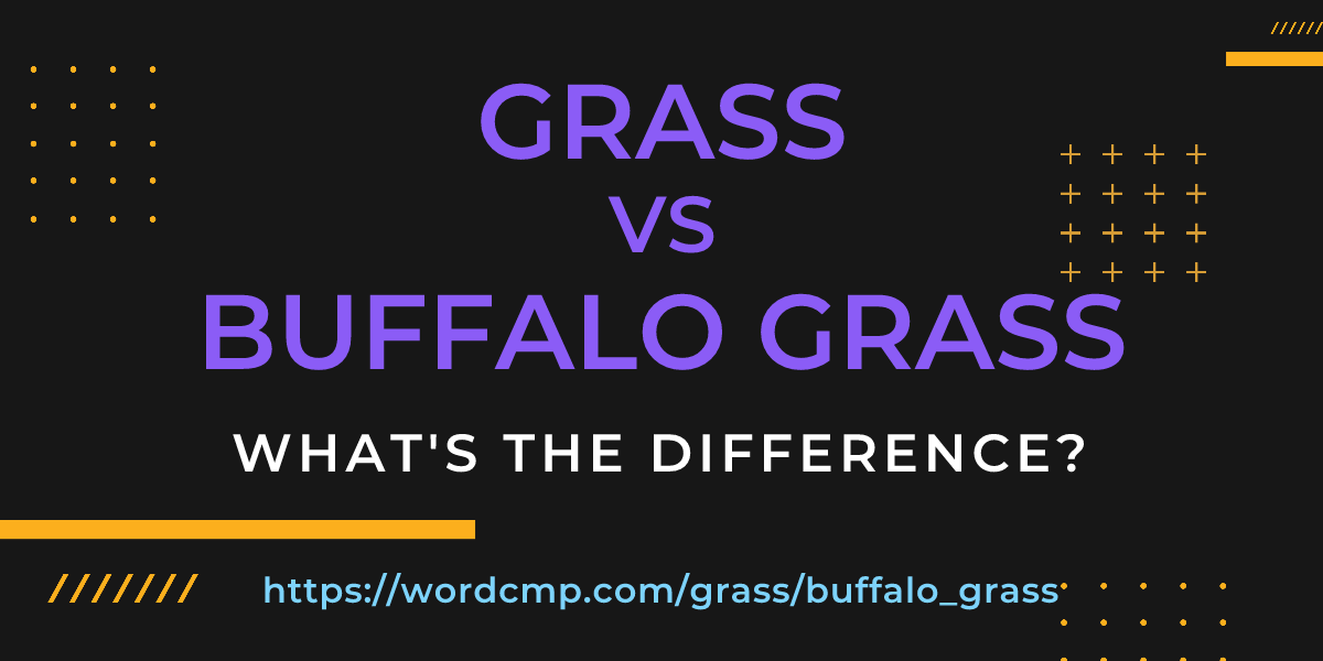 Difference between grass and buffalo grass