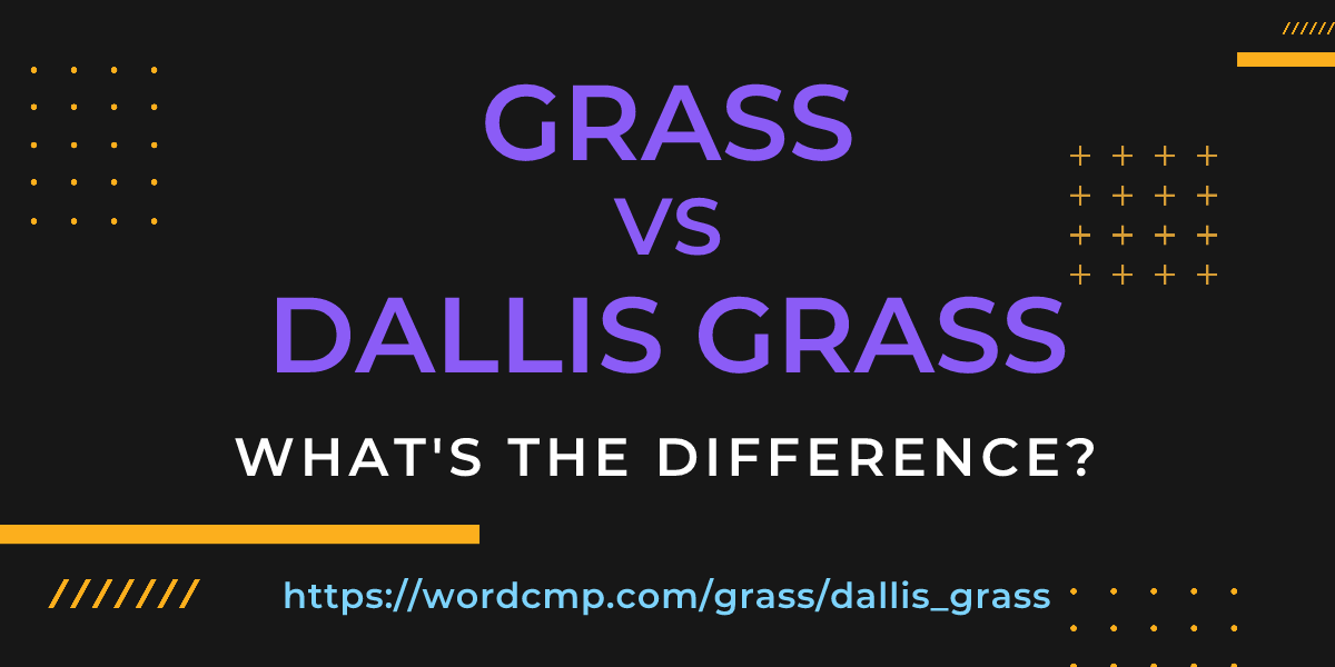 Difference between grass and dallis grass