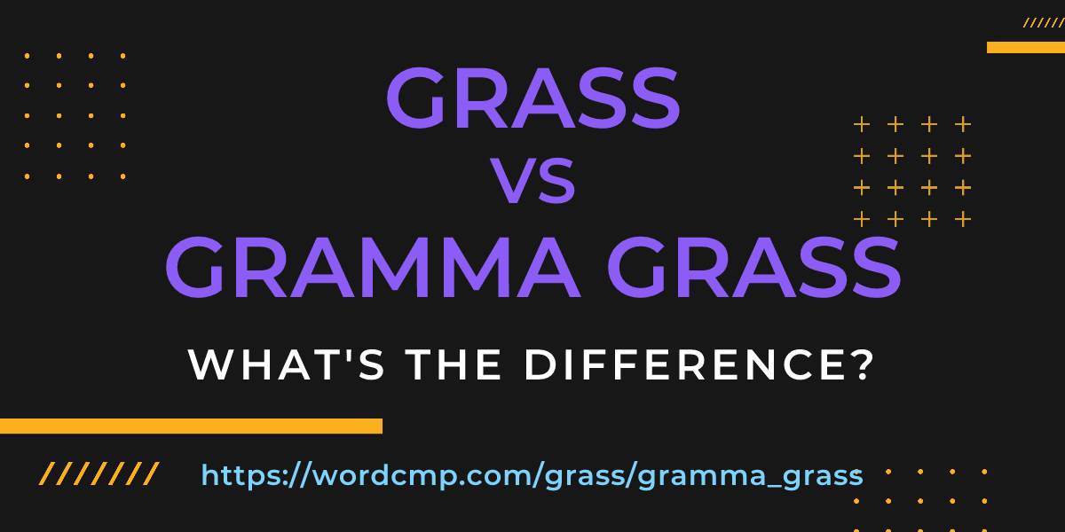 Difference between grass and gramma grass