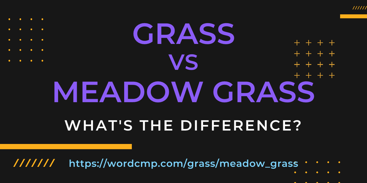 Difference between grass and meadow grass