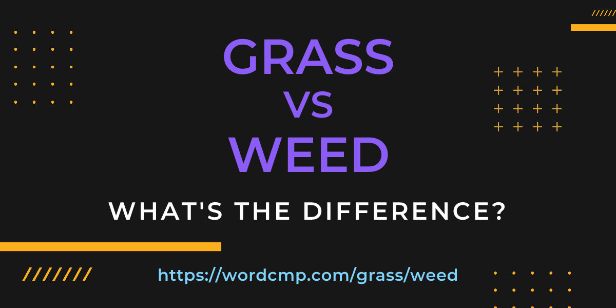 Difference between grass and weed