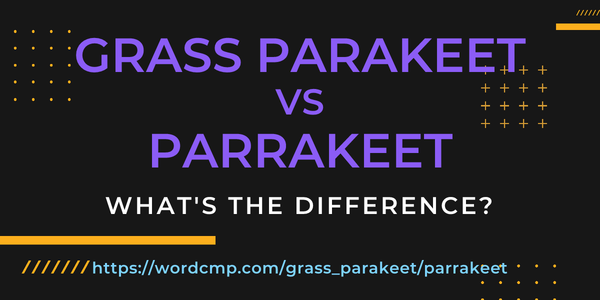 Difference between grass parakeet and parrakeet