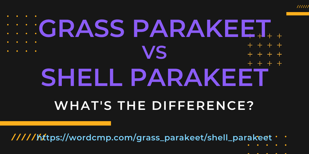 Difference between grass parakeet and shell parakeet