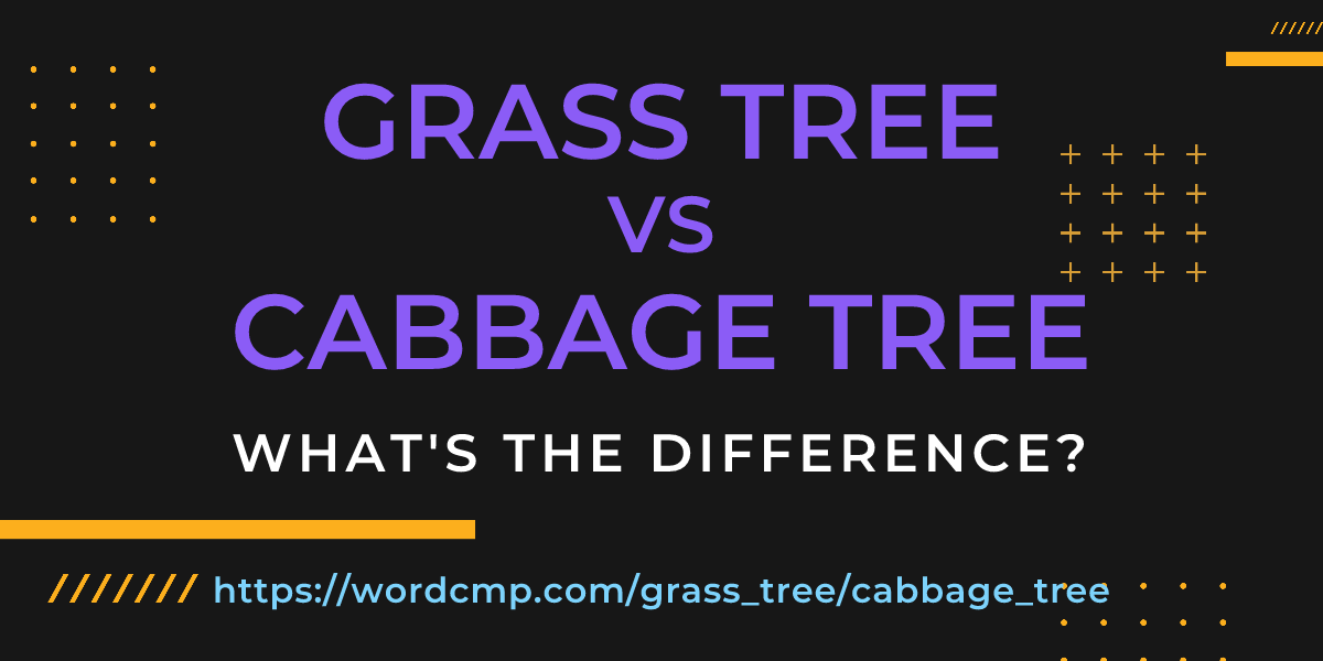 Difference between grass tree and cabbage tree