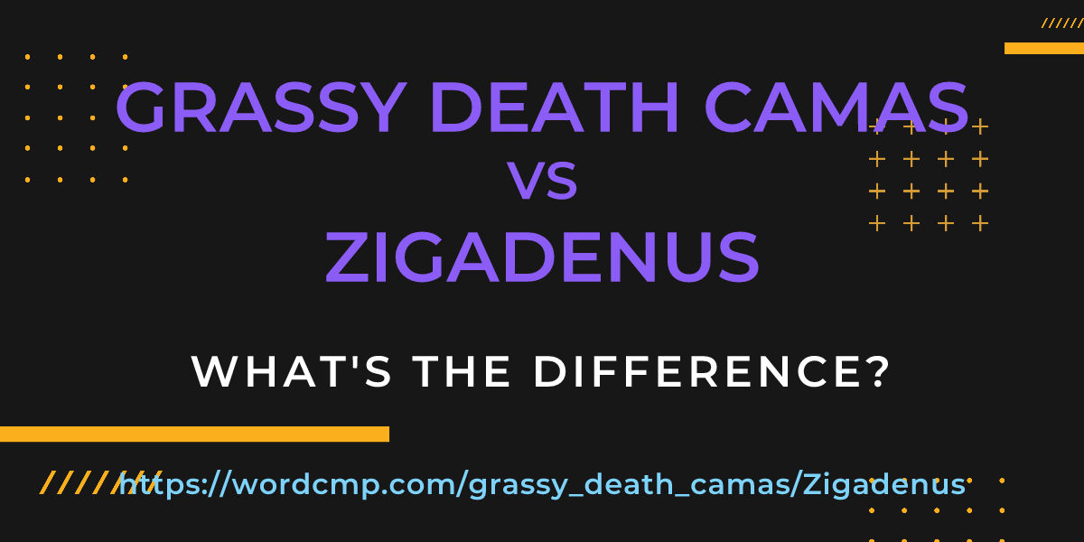 Difference between grassy death camas and Zigadenus