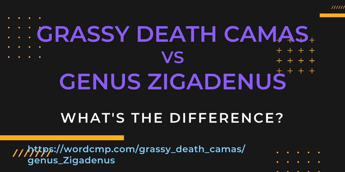 Difference between grassy death camas and genus Zigadenus