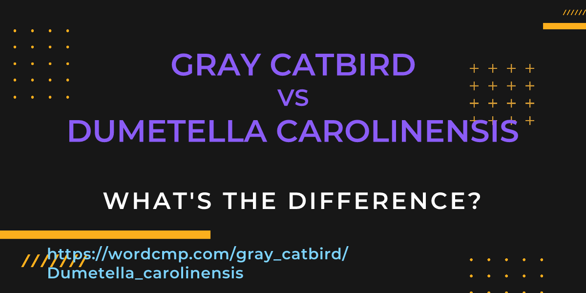 Difference between gray catbird and Dumetella carolinensis