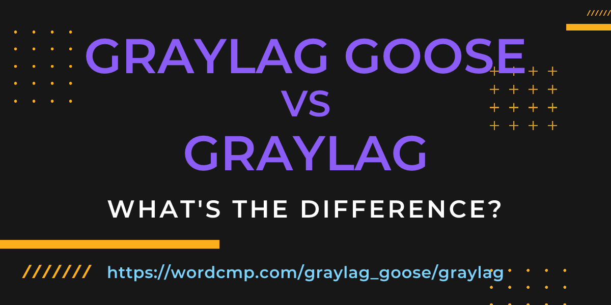 Difference between graylag goose and graylag
