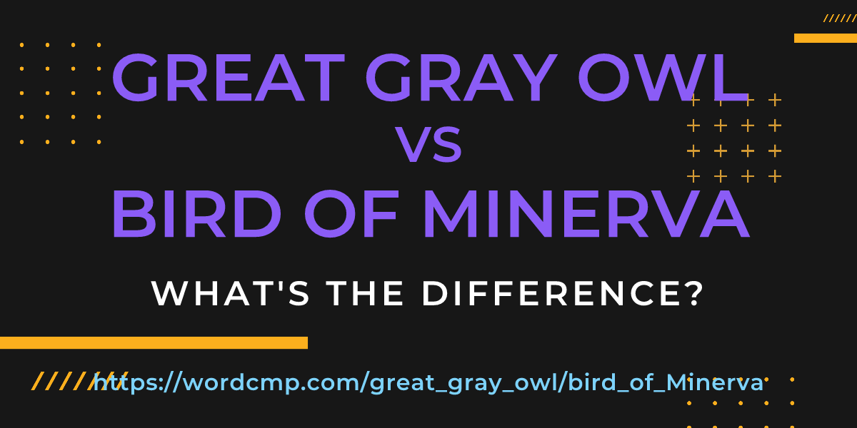 Difference between great gray owl and bird of Minerva