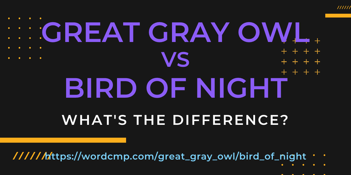 Difference between great gray owl and bird of night