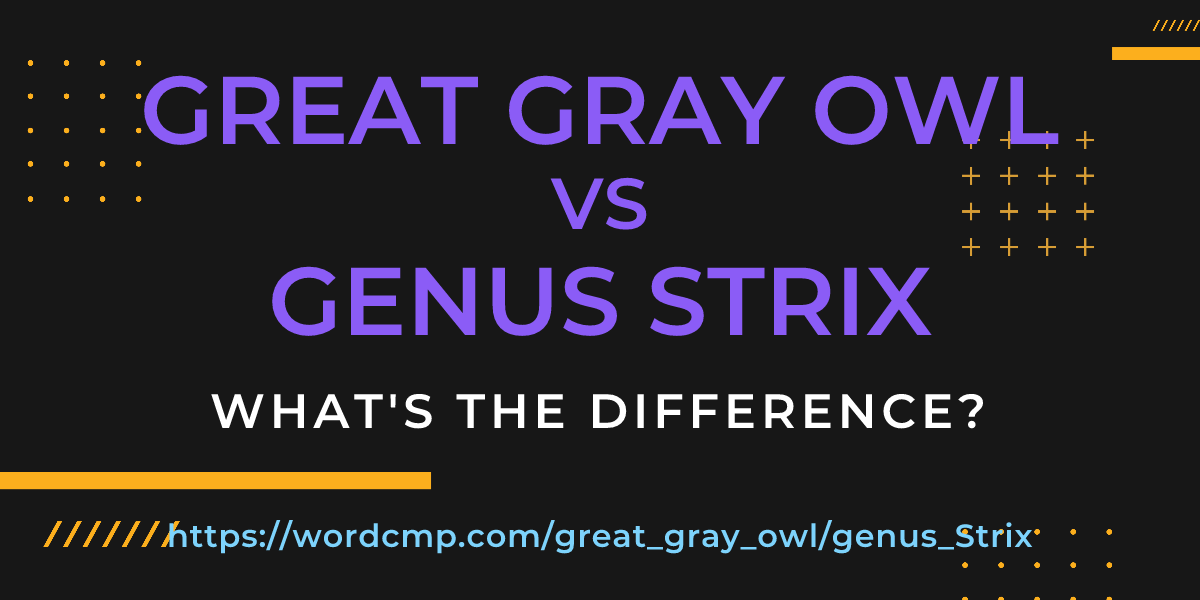 Difference between great gray owl and genus Strix