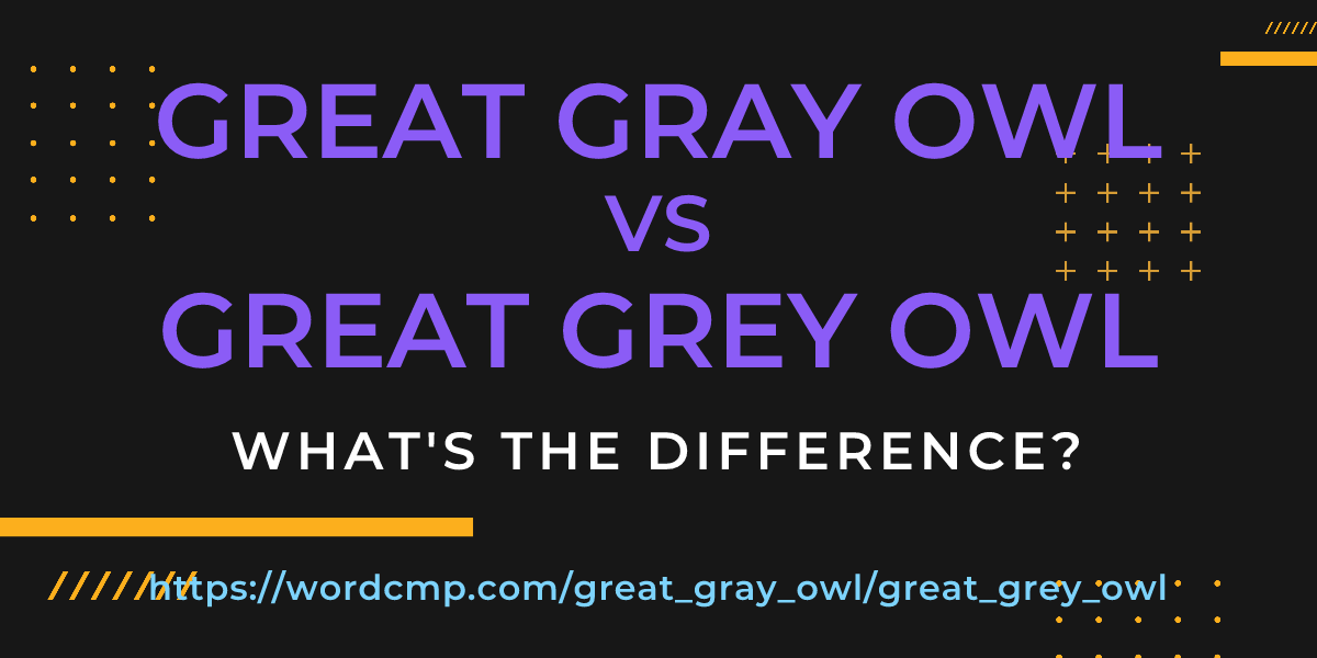 Difference between great gray owl and great grey owl