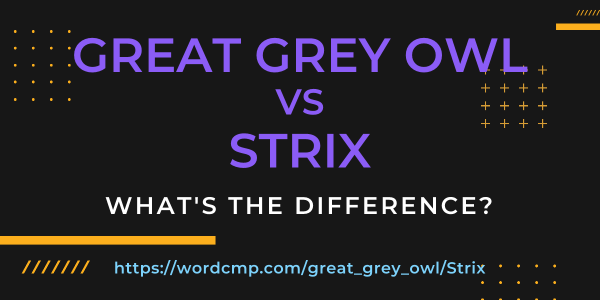 Difference between great grey owl and Strix