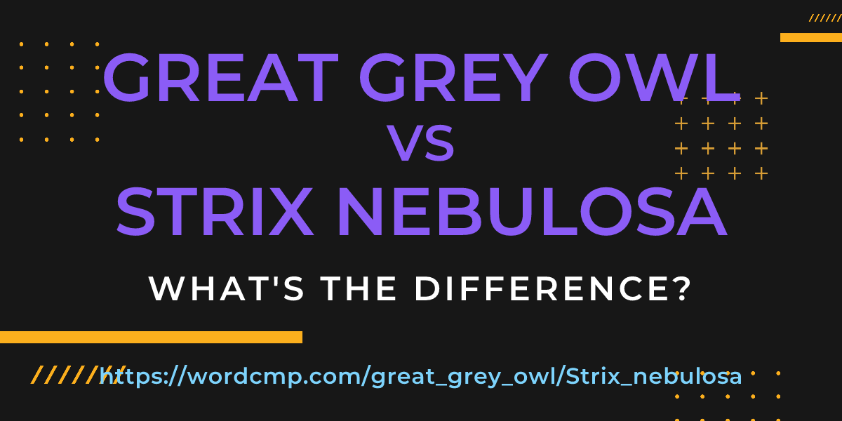 Difference between great grey owl and Strix nebulosa