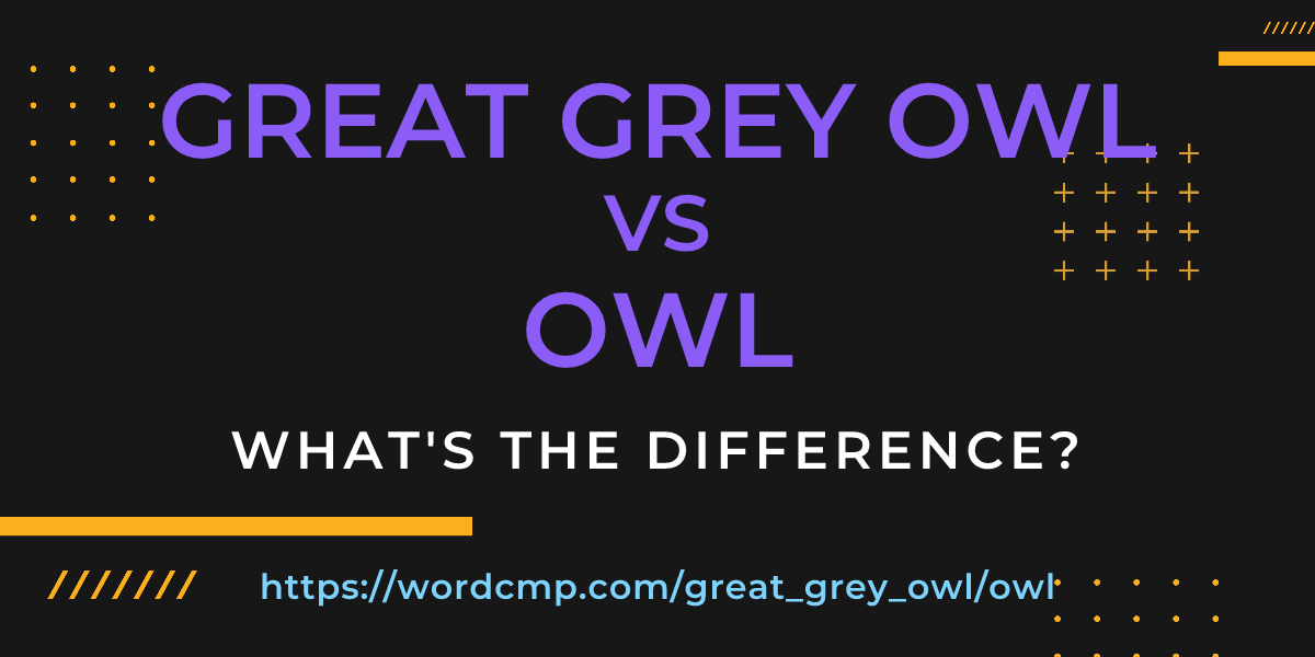 Difference between great grey owl and owl