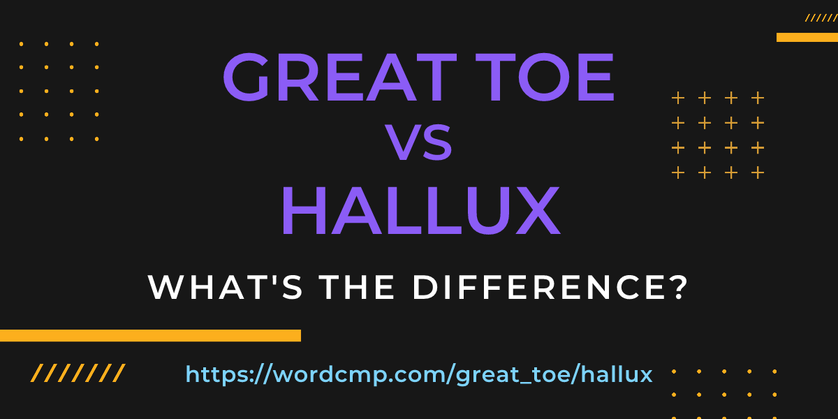 Difference between great toe and hallux