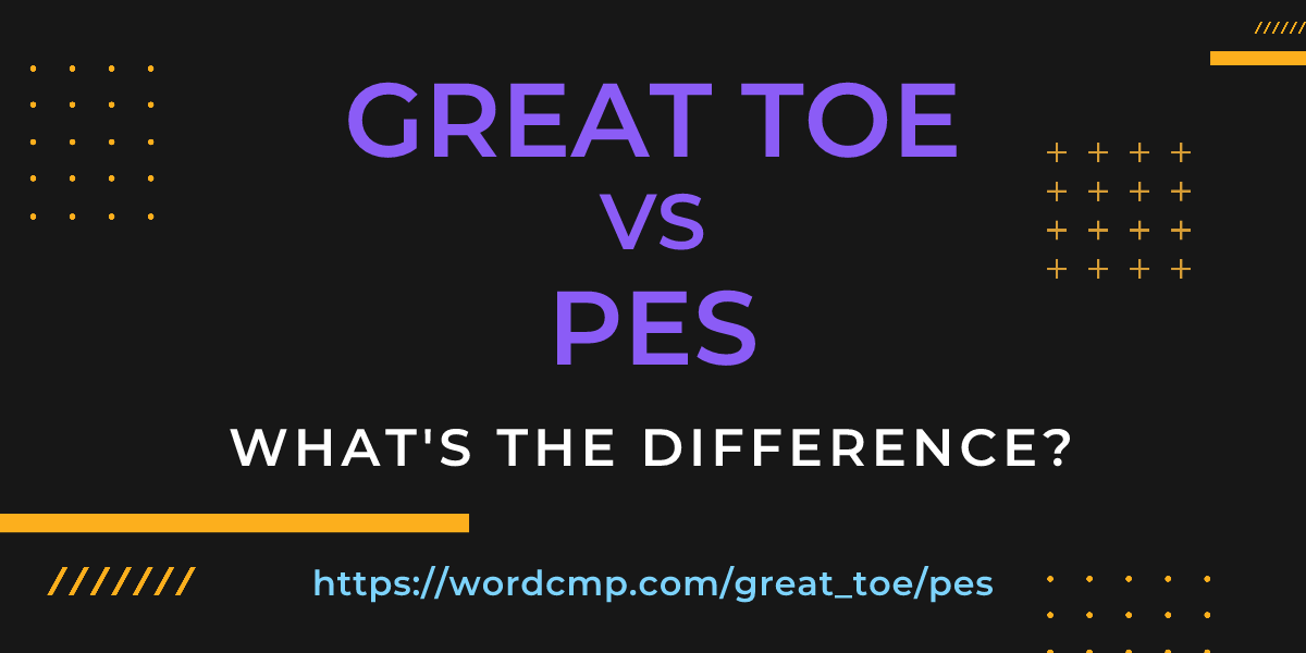 Difference between great toe and pes
