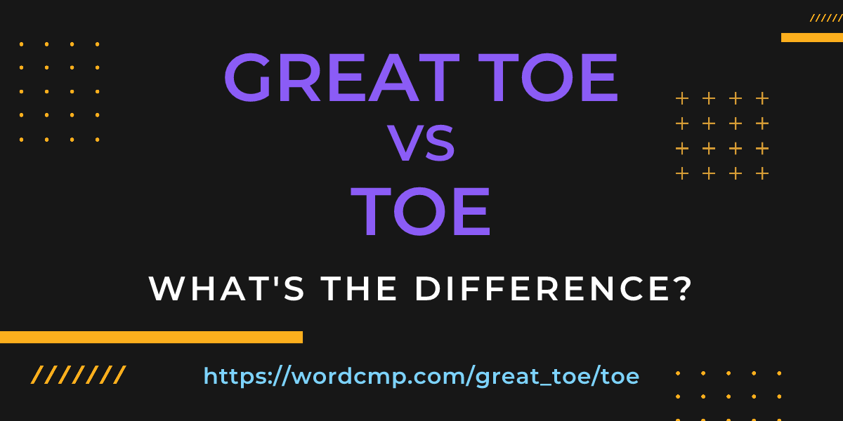Difference between great toe and toe