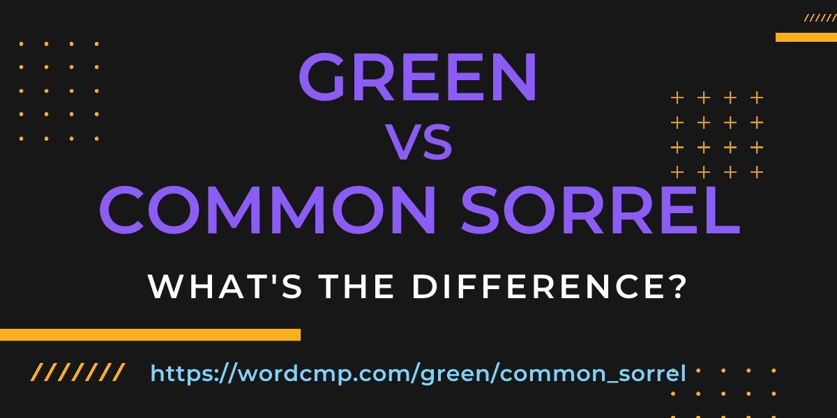 Difference between green and common sorrel