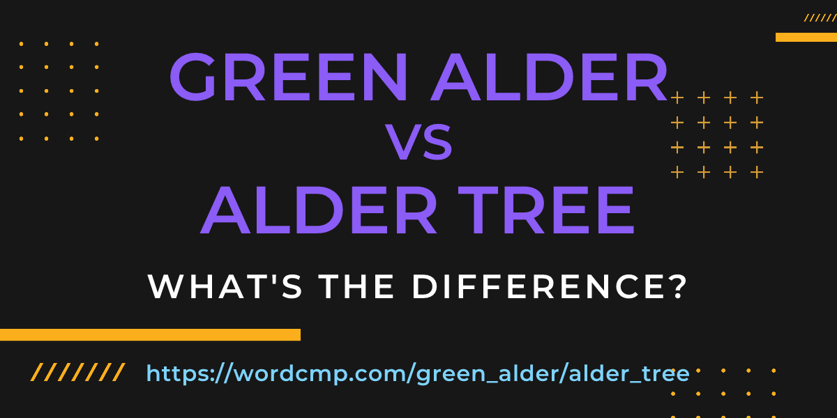 Difference between green alder and alder tree