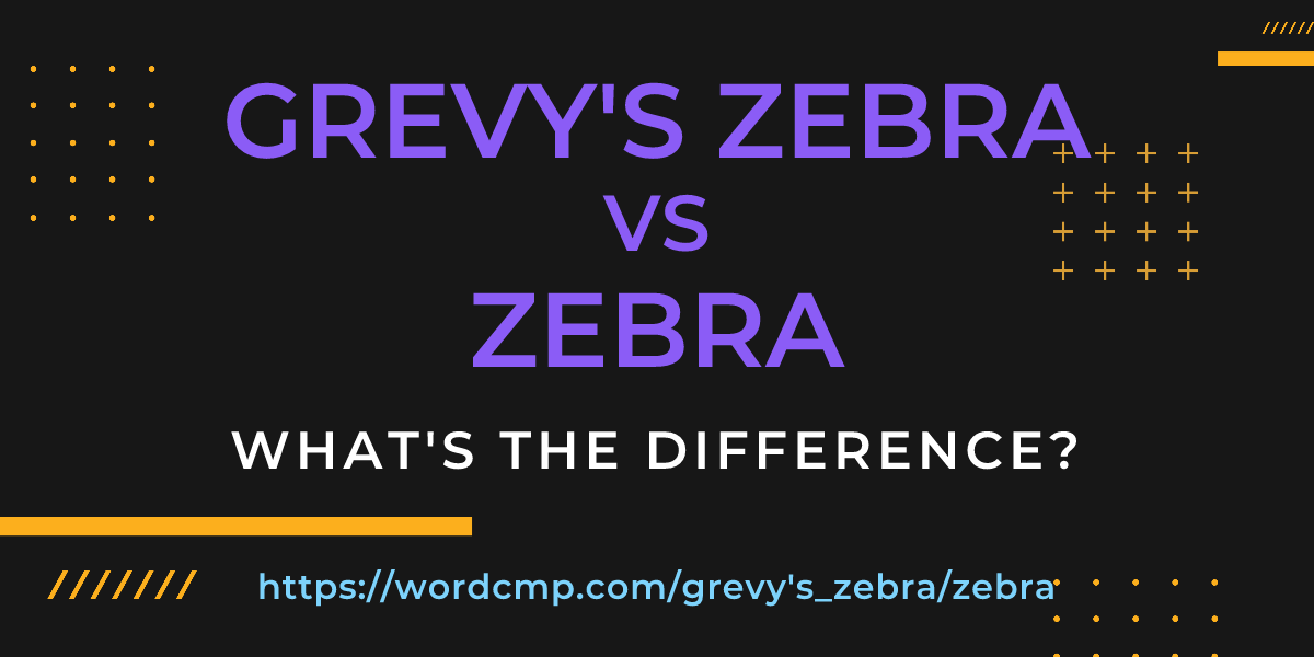 Difference between grevy's zebra and zebra