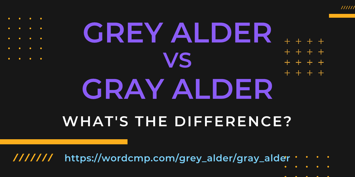 Difference between grey alder and gray alder