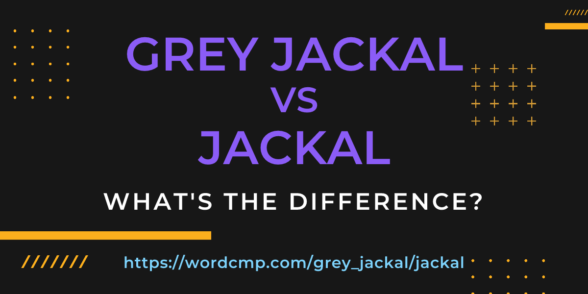 Difference between grey jackal and jackal