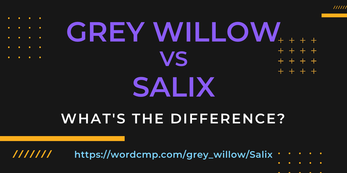 Difference between grey willow and Salix
