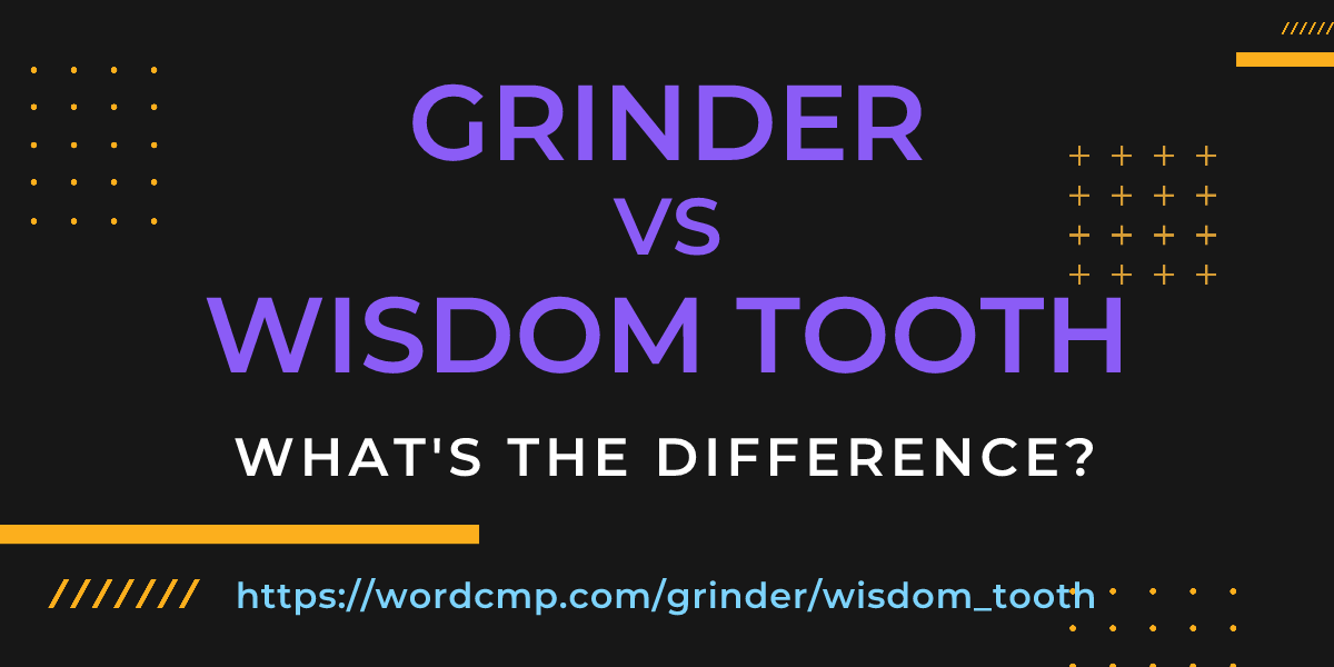 Difference between grinder and wisdom tooth