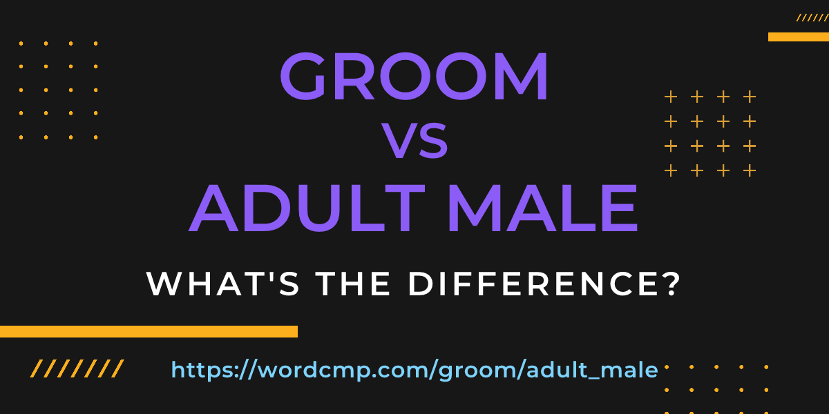 Difference between groom and adult male