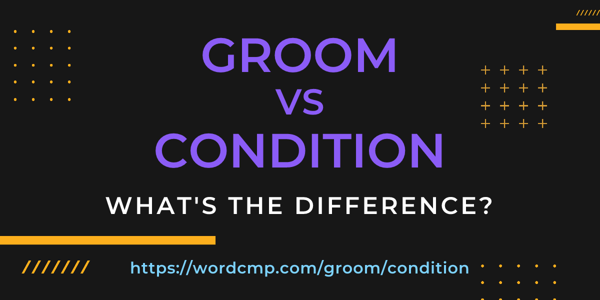 Difference between groom and condition