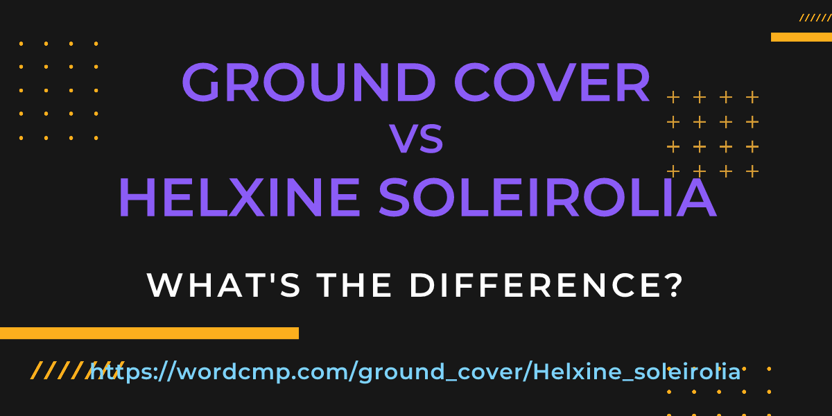 Difference between ground cover and Helxine soleirolia