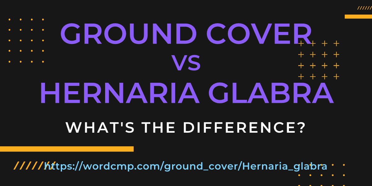 Difference between ground cover and Hernaria glabra