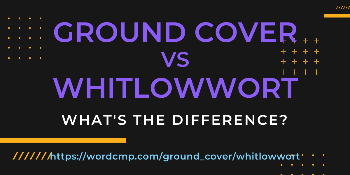 Difference between ground cover and whitlowwort
