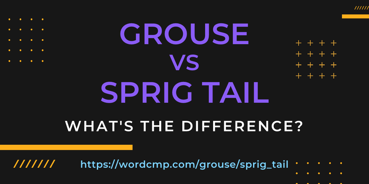 Difference between grouse and sprig tail
