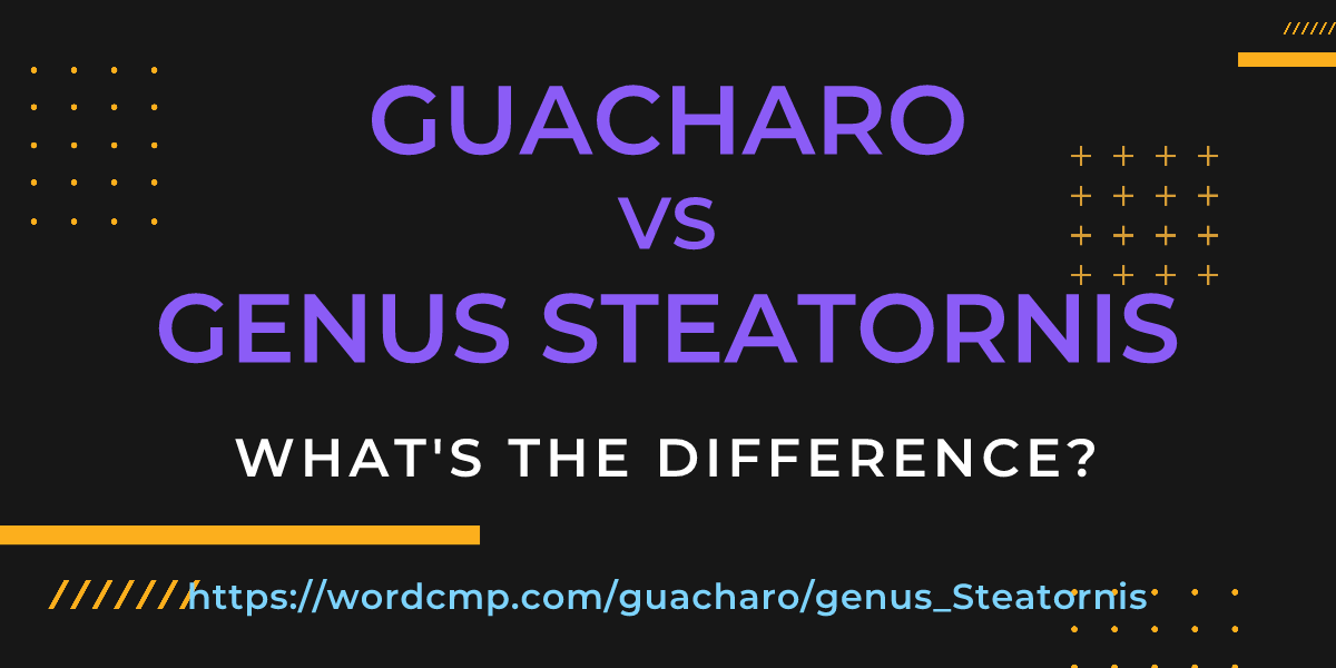 Difference between guacharo and genus Steatornis