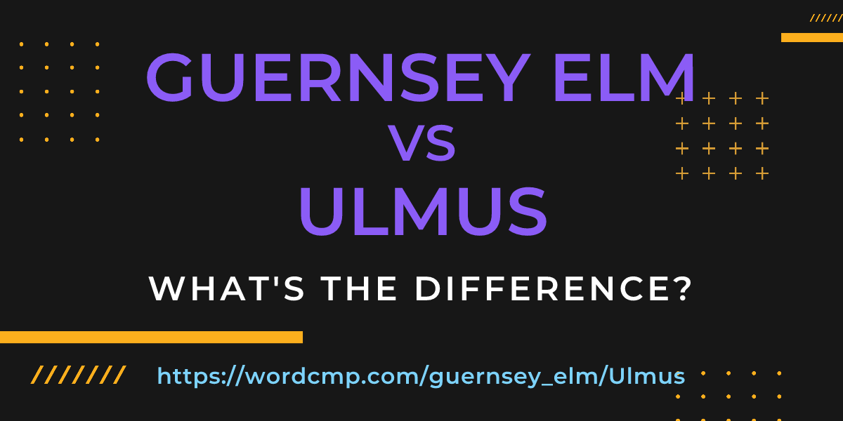 Difference between guernsey elm and Ulmus