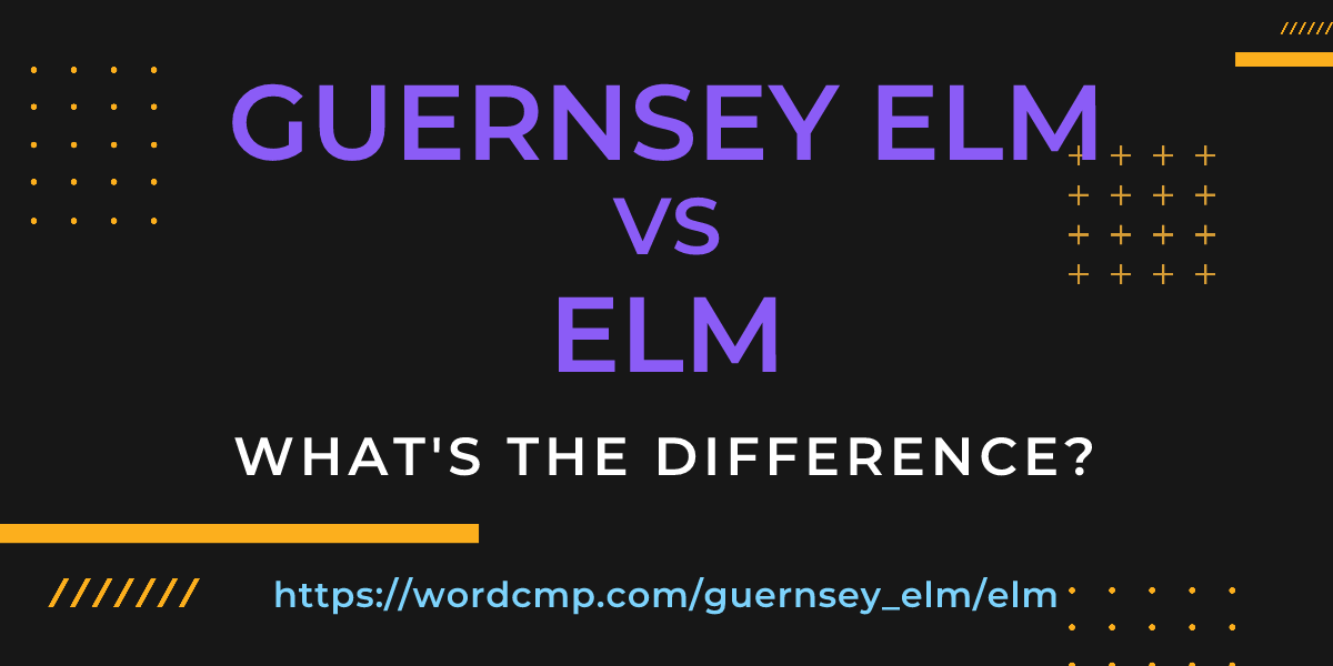 Difference between guernsey elm and elm