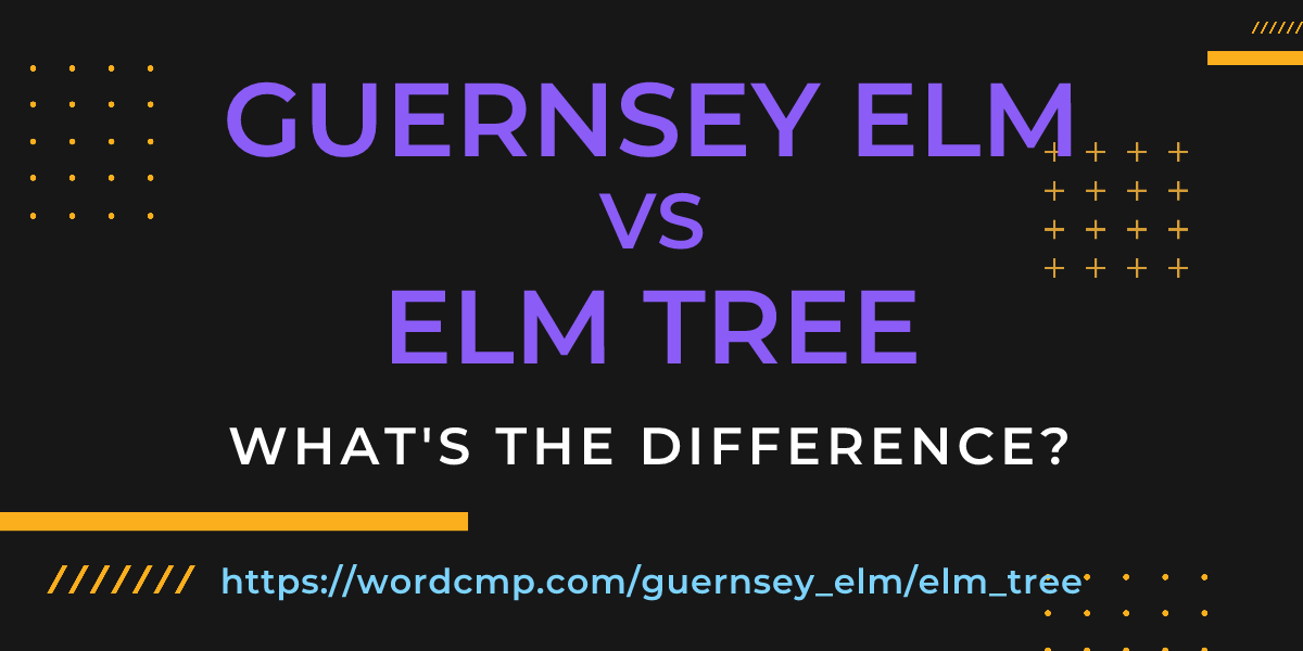 Difference between guernsey elm and elm tree