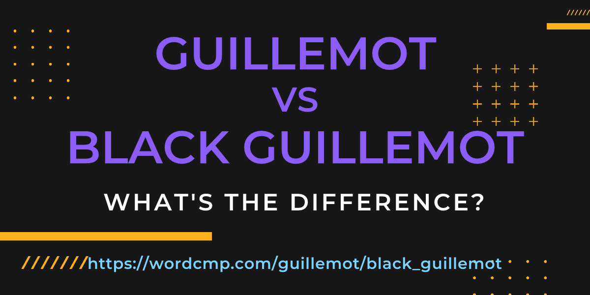 Difference between guillemot and black guillemot