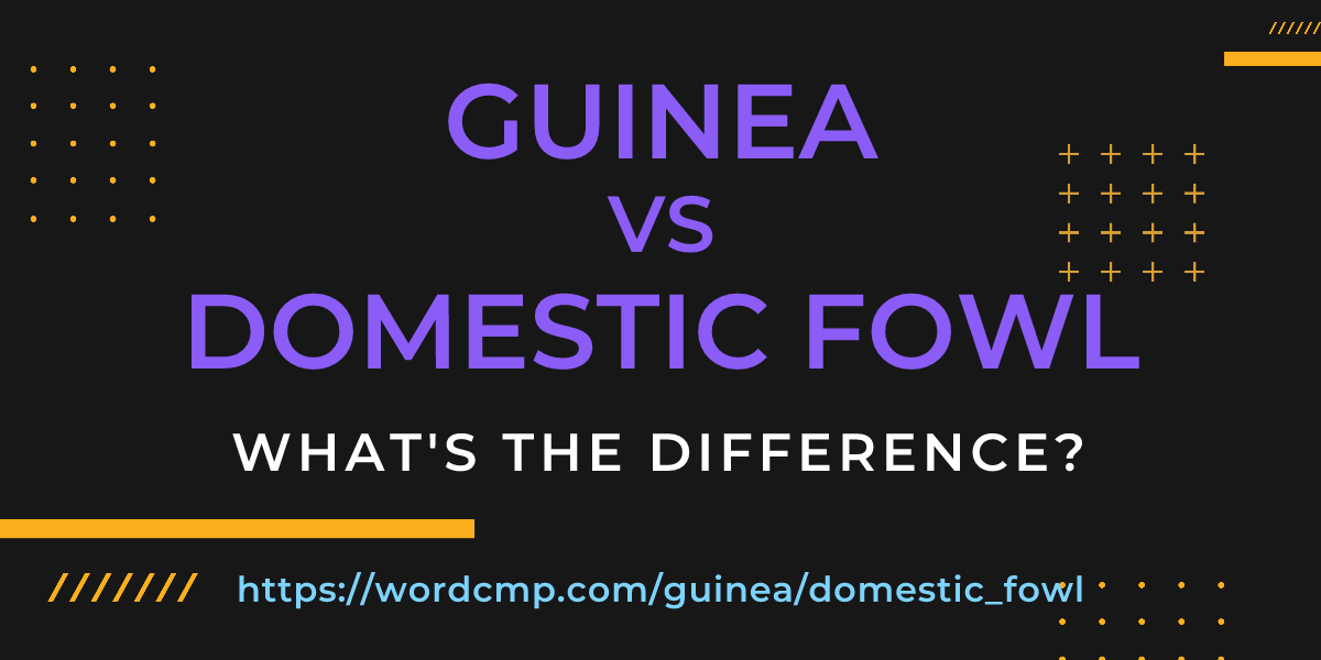 Difference between guinea and domestic fowl