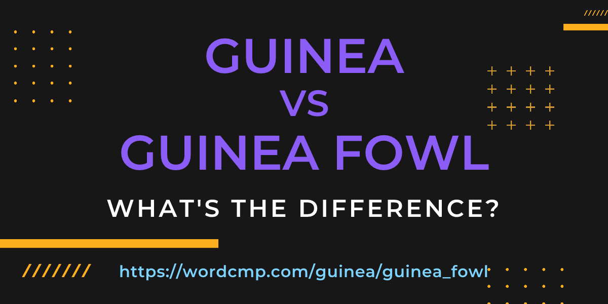Difference between guinea and guinea fowl