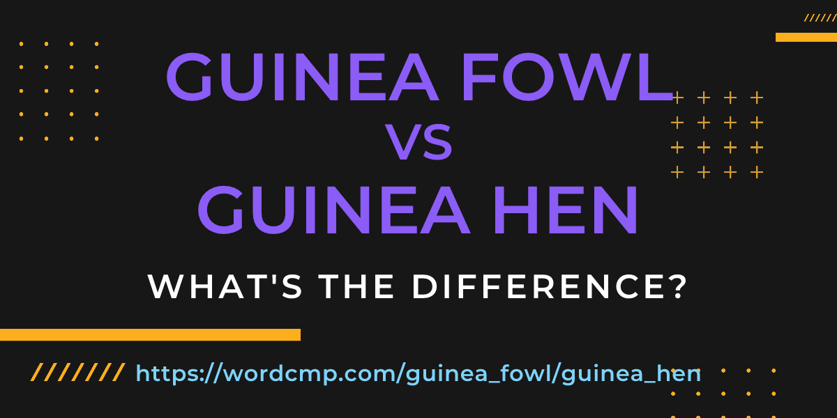 Difference between guinea fowl and guinea hen