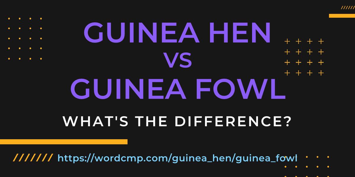 Difference between guinea hen and guinea fowl